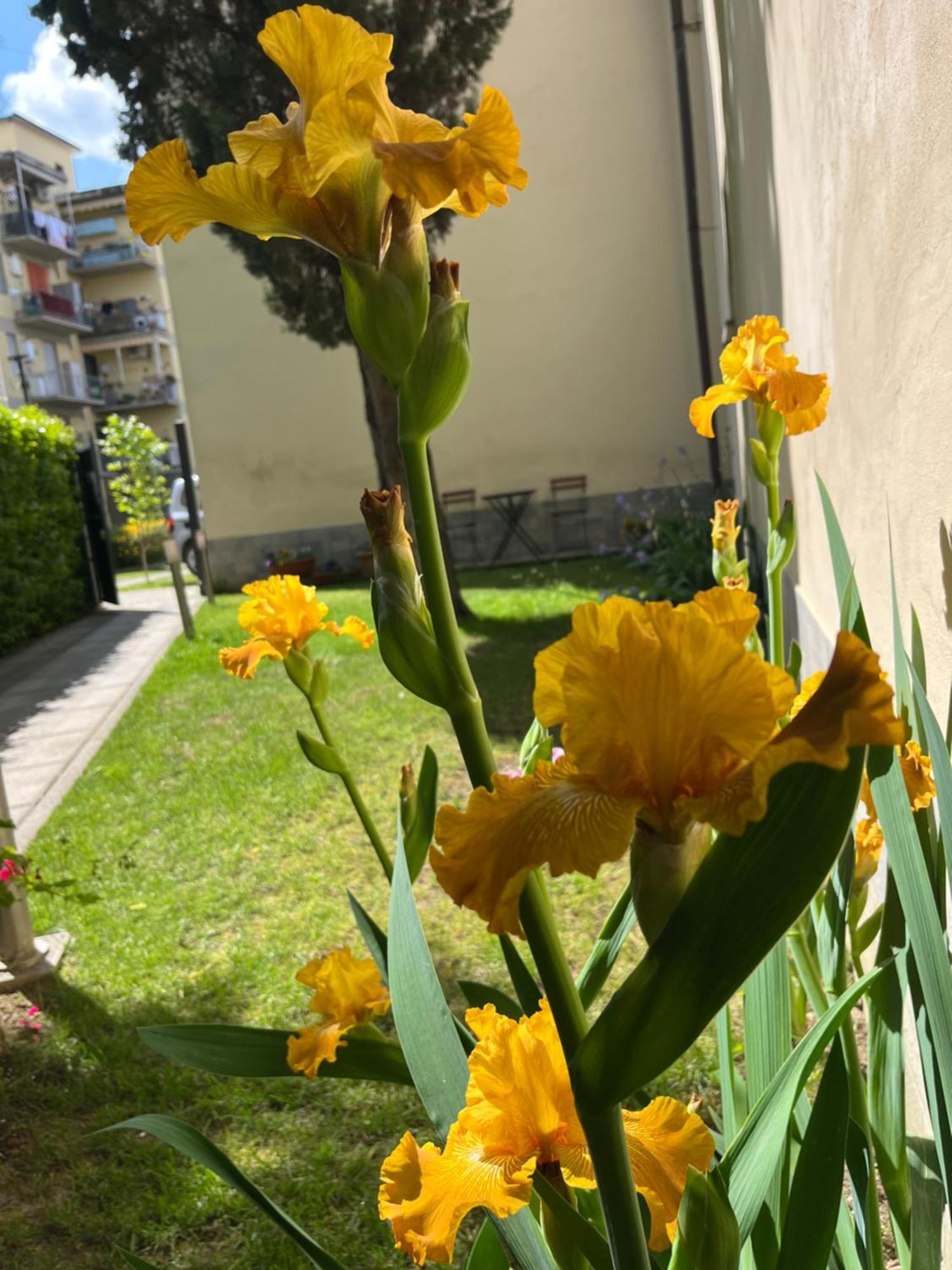 Dalu Florence Apartment Davide - Private Car Park 15 Minutes To The City Center Zewnętrze zdjęcie